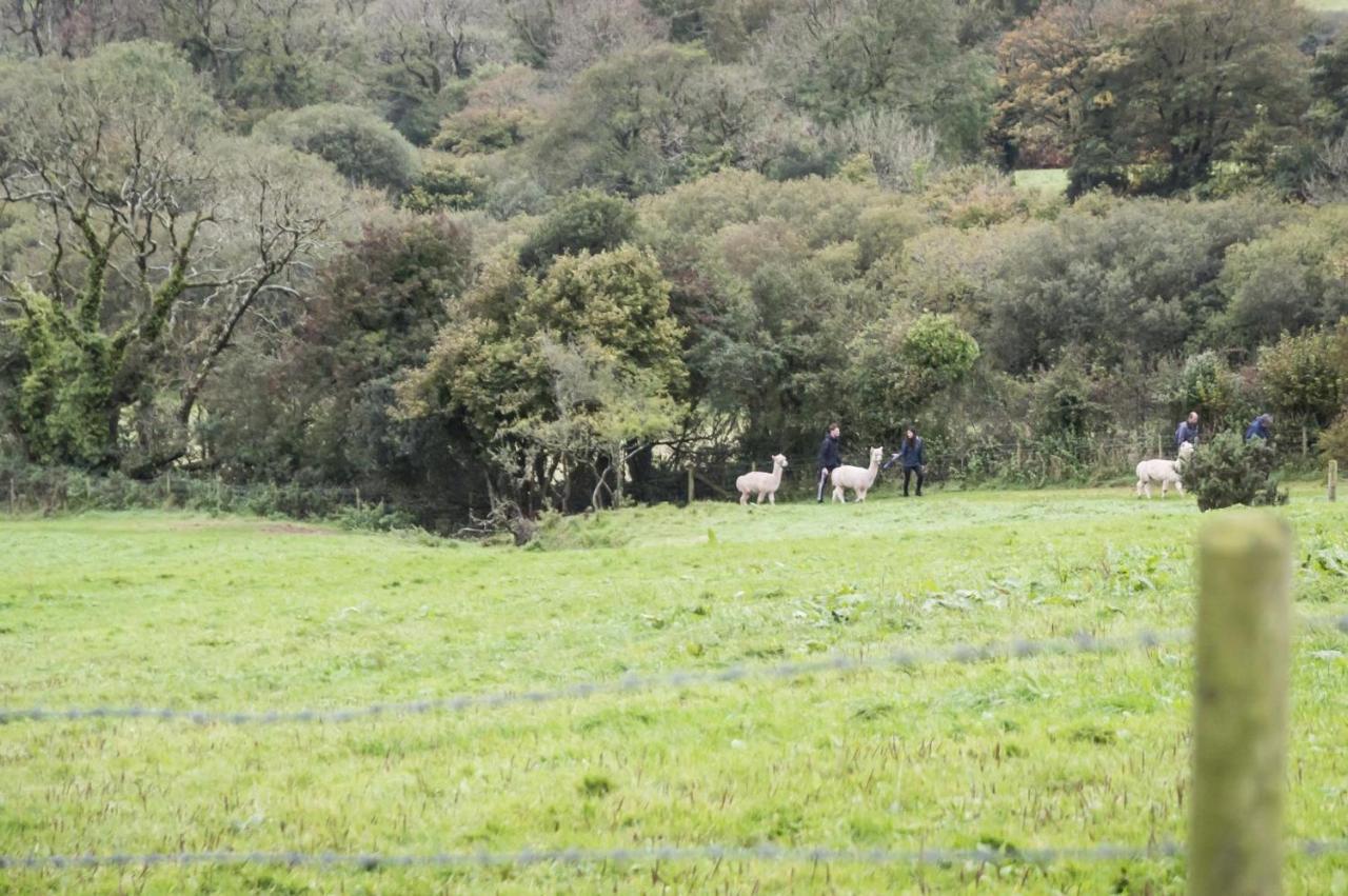 Orchard Cottage - Luxurious Barn Conversion - Beavers Hill Manorbier Buitenkant foto